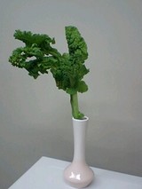 花?