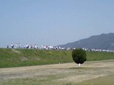 蜂さされマラソン