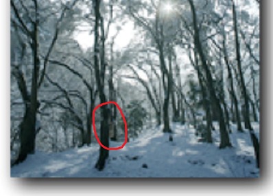 �����꡼�󥷥�å� 2021-12-08 140337