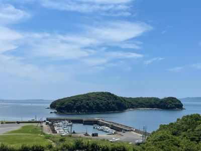 minamata