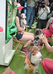 パチンコcrスーパーわんわんパラダイスの新作発表 ドギっこダイヤリー