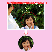 写真1