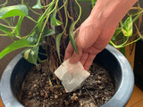使い終わったら植物の肥料に2