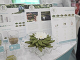 2019.03 Natural Products EXPO West in アナハイム5