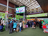 2019.11 お茶一杯の日 鹿児島中央駅 アミュ広場1