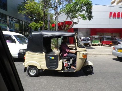 IMGP0534