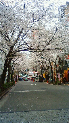 ShibuyaSakuragaoka