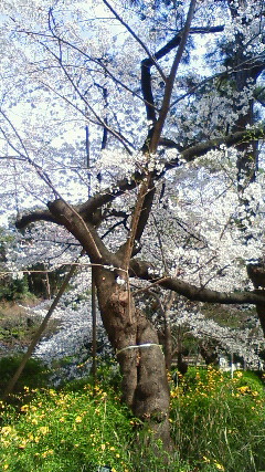 清水谷公園