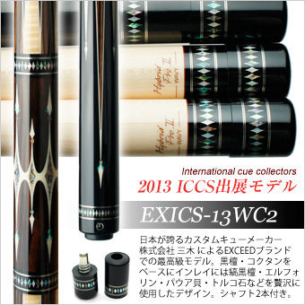 iccs-13wc2