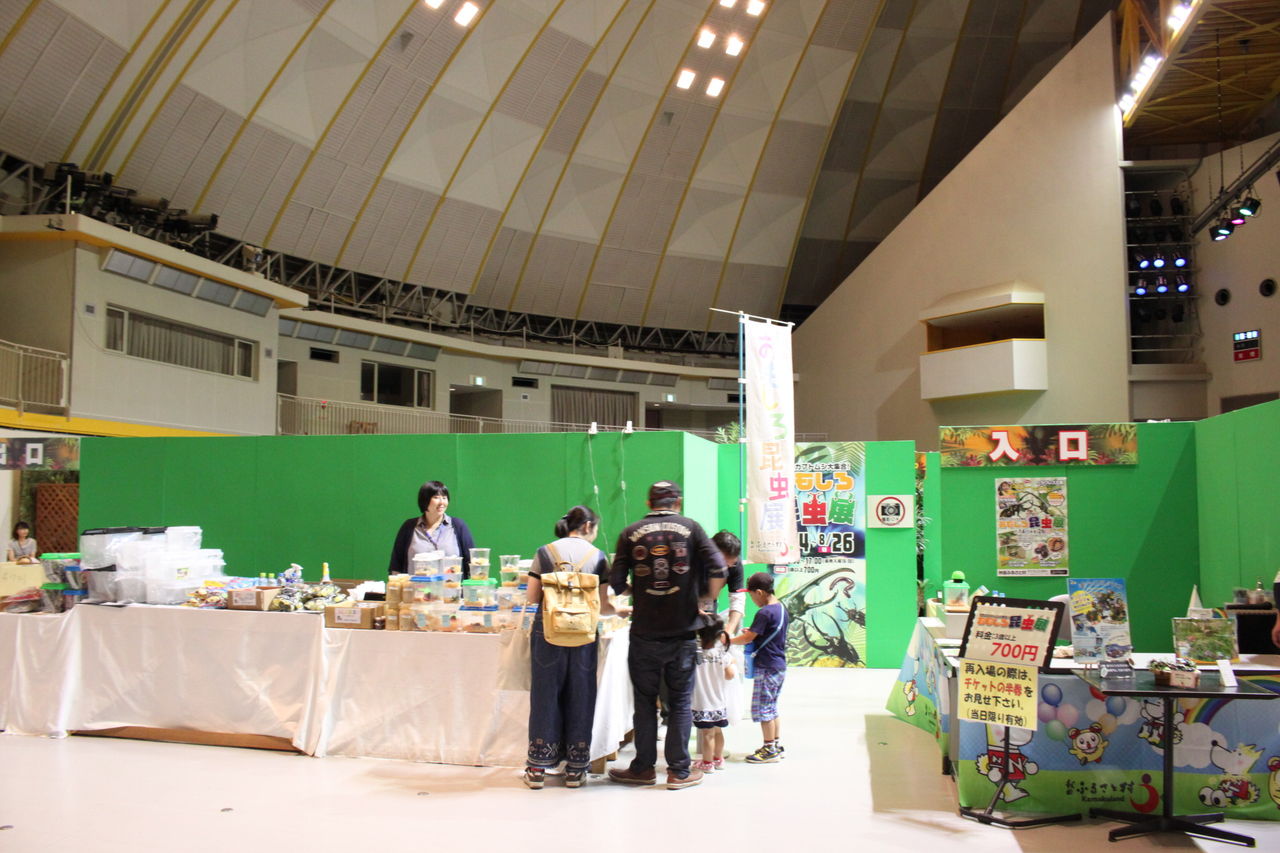 世界のカブトムシ大集合 おもしろ昆虫展 秋田ふるさと村ブログ イベントのお知らせ 村のおすすめ情報 世界のカブトムシ大集合 おもしろ昆虫展 秋田ふるさと村ブログ イベントのお知らせ 村のおすすめ情報