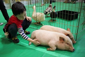 ¡úIMG_7028