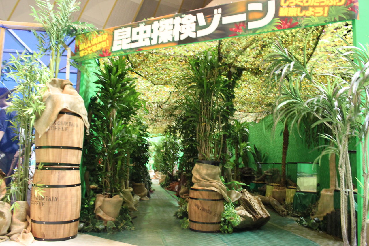世界のカブトムシ大集合 おもしろ昆虫展 秋田ふるさと村ブログ イベントのお知らせ 村のおすすめ情報 世界のカブトムシ大集合 おもしろ昆虫展 秋田ふるさと村ブログ イベントのお知らせ 村のおすすめ情報