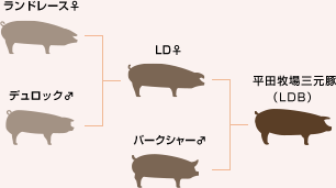 graph1_pc