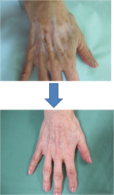 ¿Þ¼êÇØ