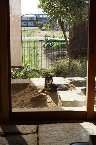 ������򸫤Ƥ��ޤ�