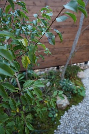 T��š�ⴰ��