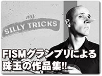 my-silly-tricks