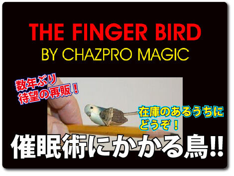 20220204FingerBird