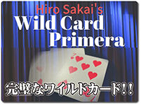 wild-card-primera