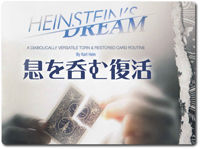 heinsteins-dream