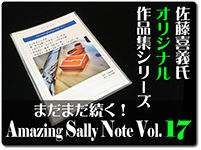 amazing-sally-note-17