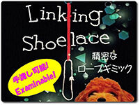 linking-shoe-lace