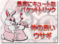 love-rabbit