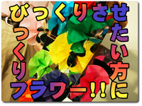 bikkuri-f