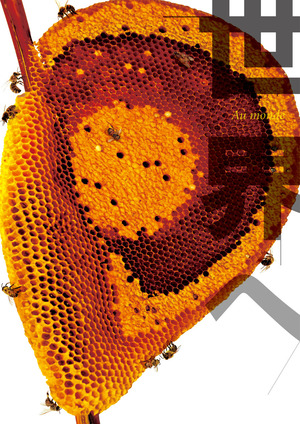 À¤³¦¤Øtitle,photo