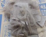20091204145317