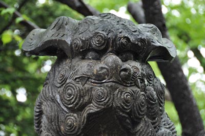 弥彦神社狛犬顔