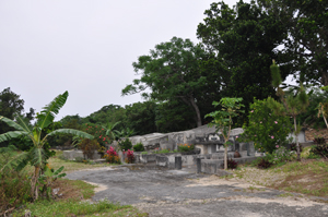 ÃÝÉÙÅç2009ǯ3·î¤ªÊè