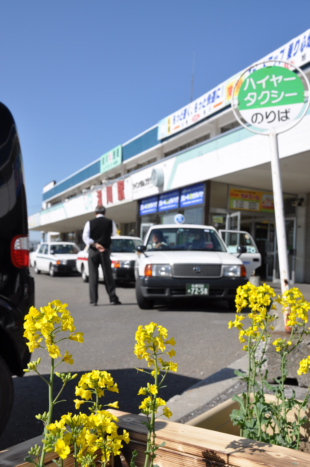 菜の花プランター駅前2