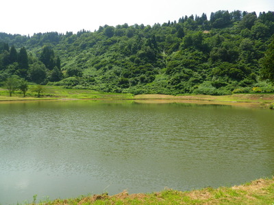 IMGP3791