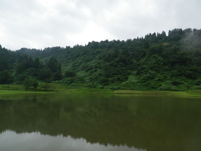 IMGP3913