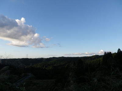 IMGP6054