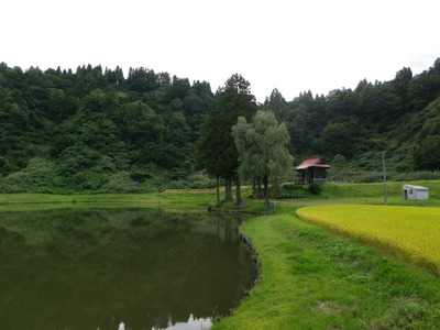 IMGP6072