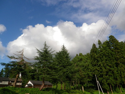 IMGP3938