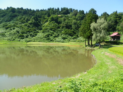 IMGP3930