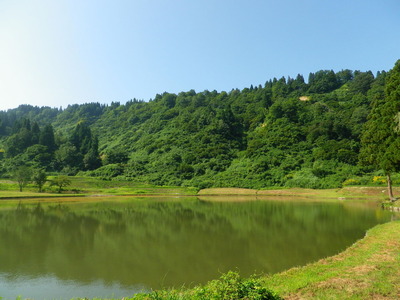 IMGP3885