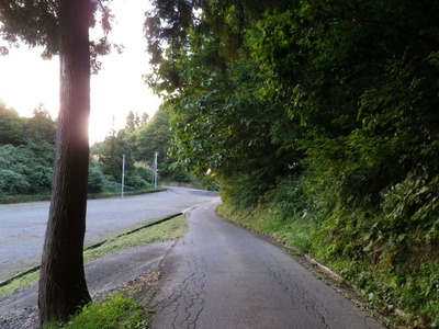 IMGP6050