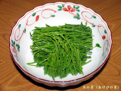 kinome