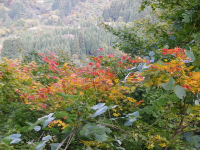 IMGP1688