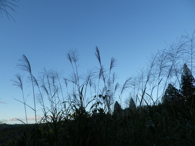 IMGP6051