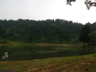 IMGP3773