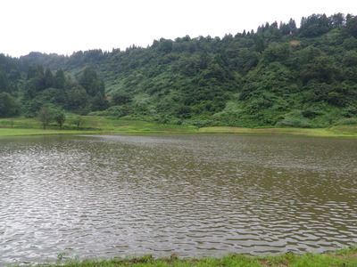 IMGP3915