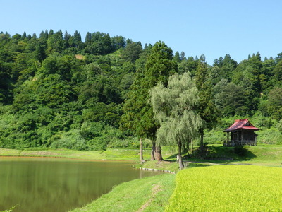 IMGP3952