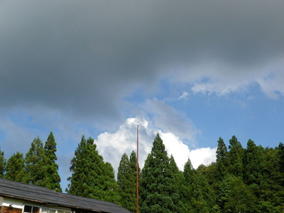 IMGP5938