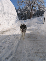 7112e0e4.gif