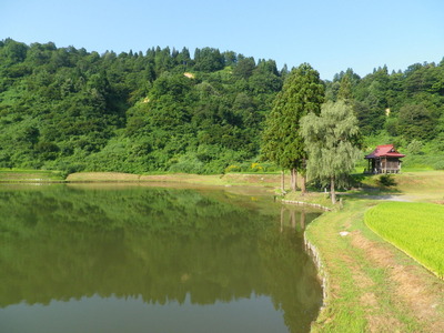 IMGP3819